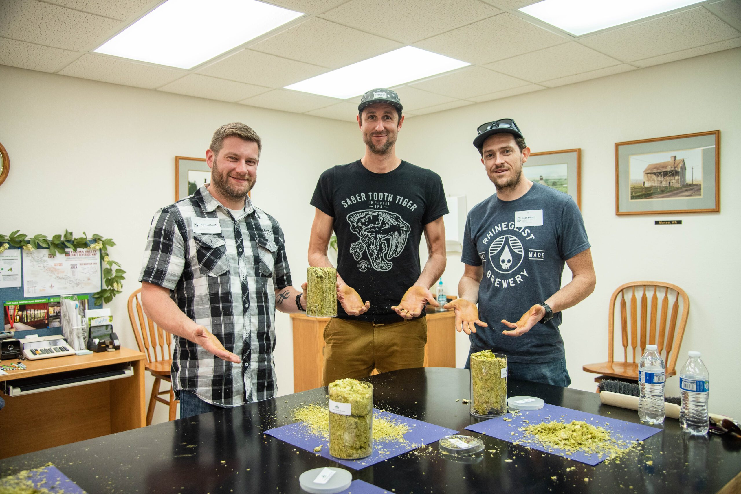 Post 1 9 of 9 scaled the shape of hops to come - rhinegeist