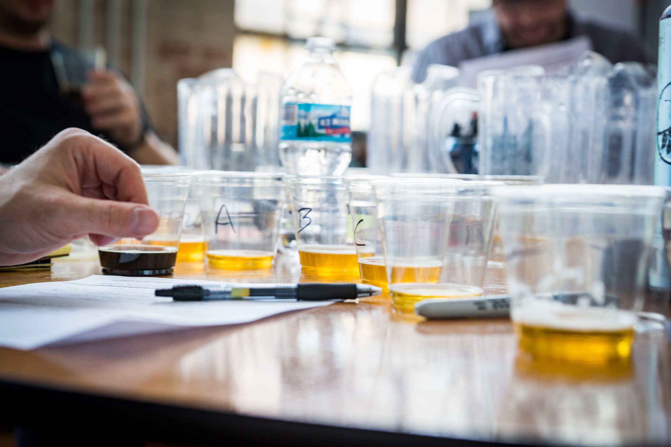 Sensory cic 5 scaled education - rhinegeist