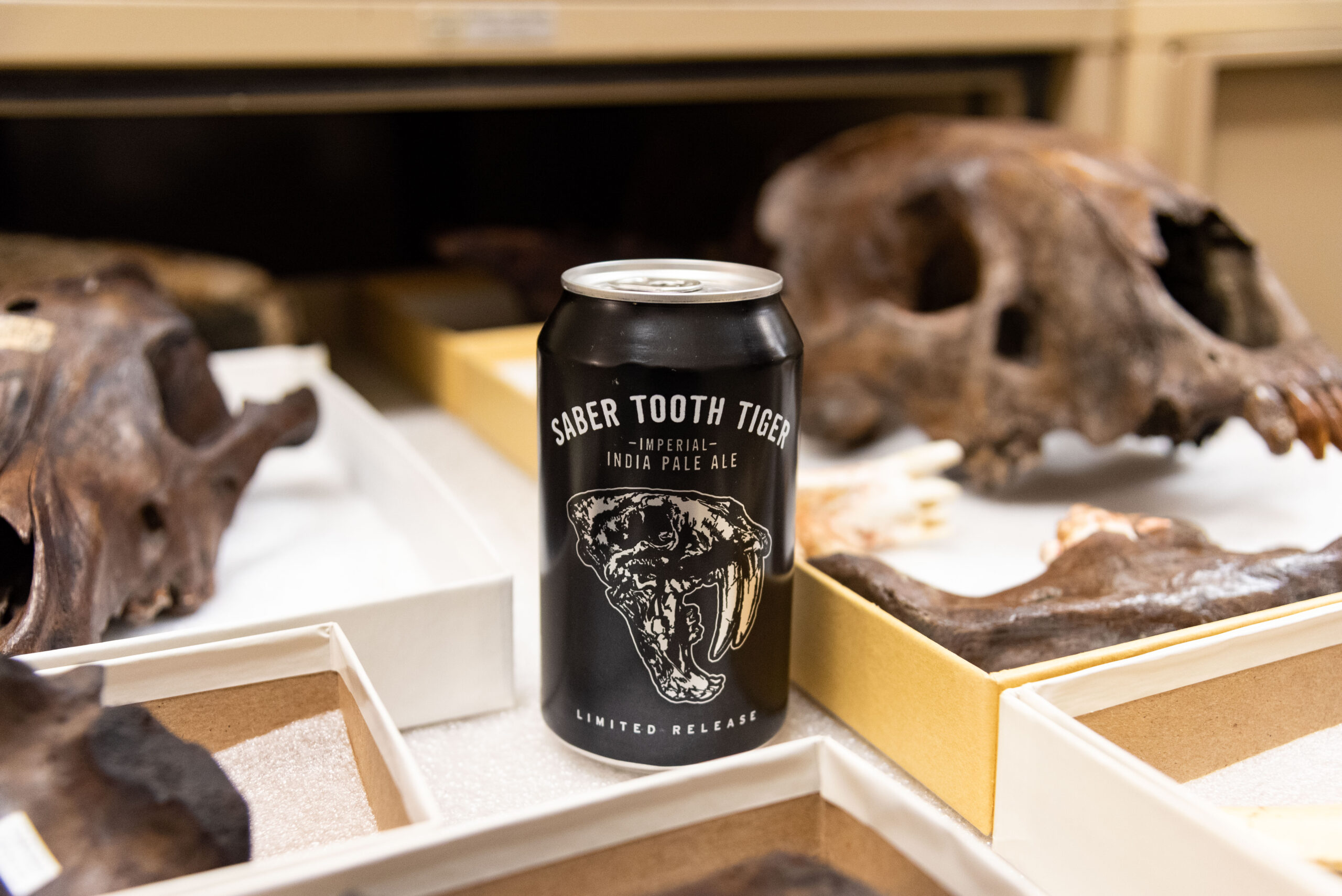 Stt 10k years old 2 scaled saber tooth tiger (imperial ipa) review - rhinegeist