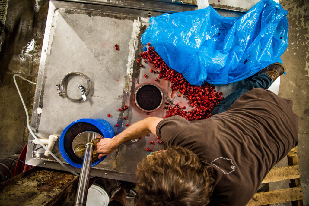 Cherries 36 of 89 kriek orthodoxy - rhinegeist