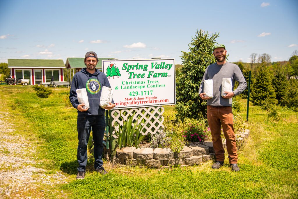Spruce tip beer 69 of 93 spruce it up! - rhinegeist