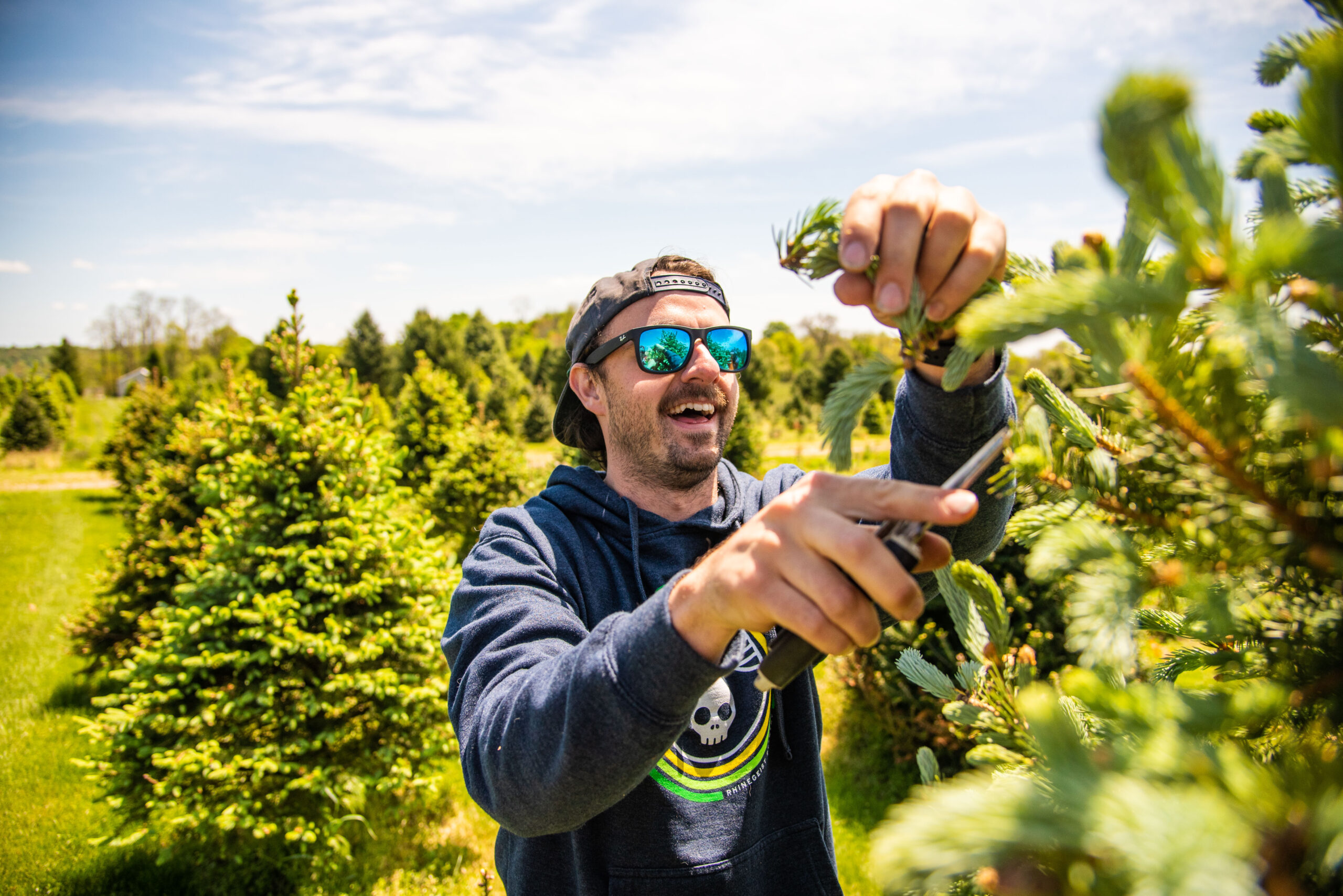 Spruce tip beer 56 of 93 scaled spruce it up! - rhinegeist