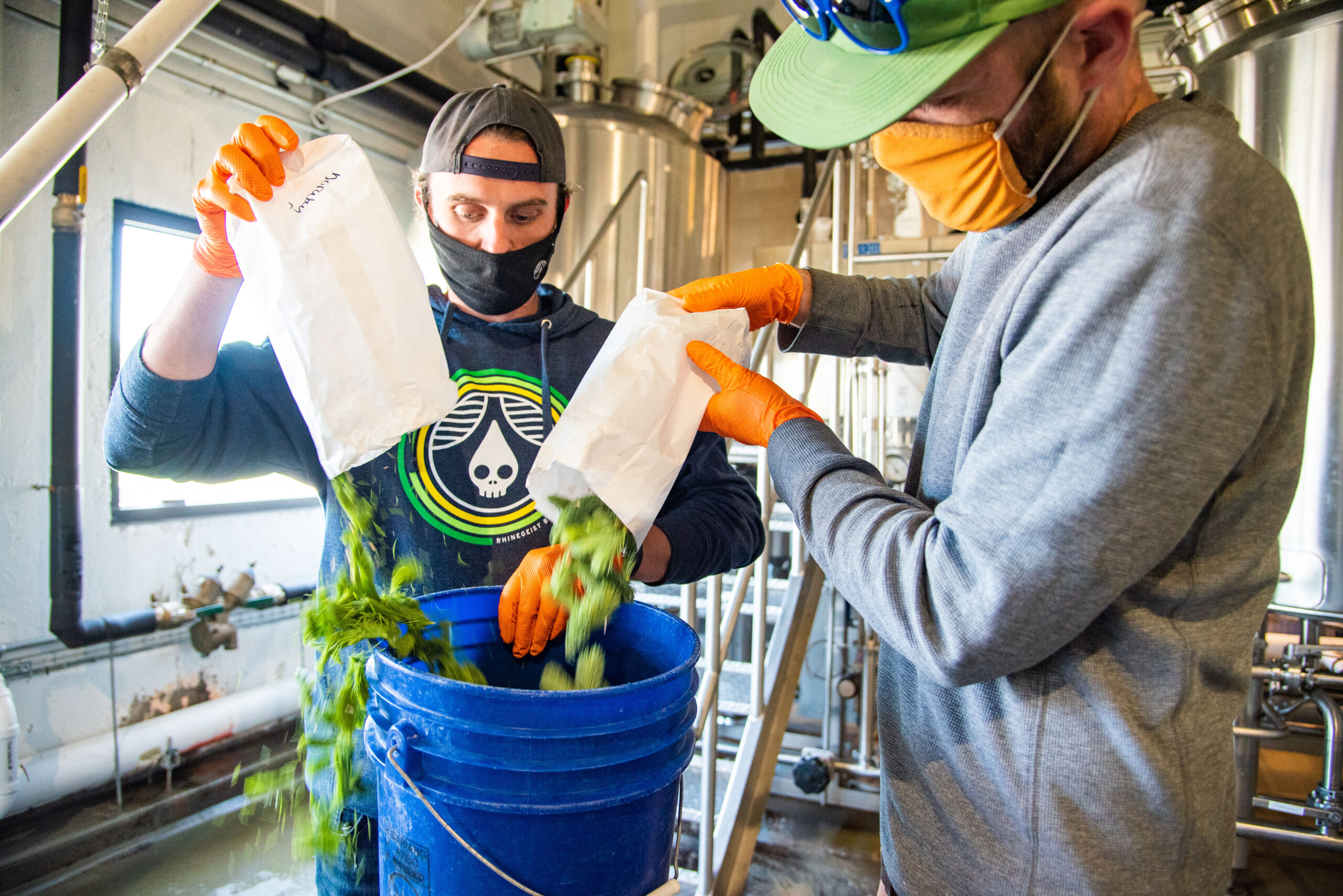 Spruce tip beer 77 of 93 scaled spruce it up! - rhinegeist