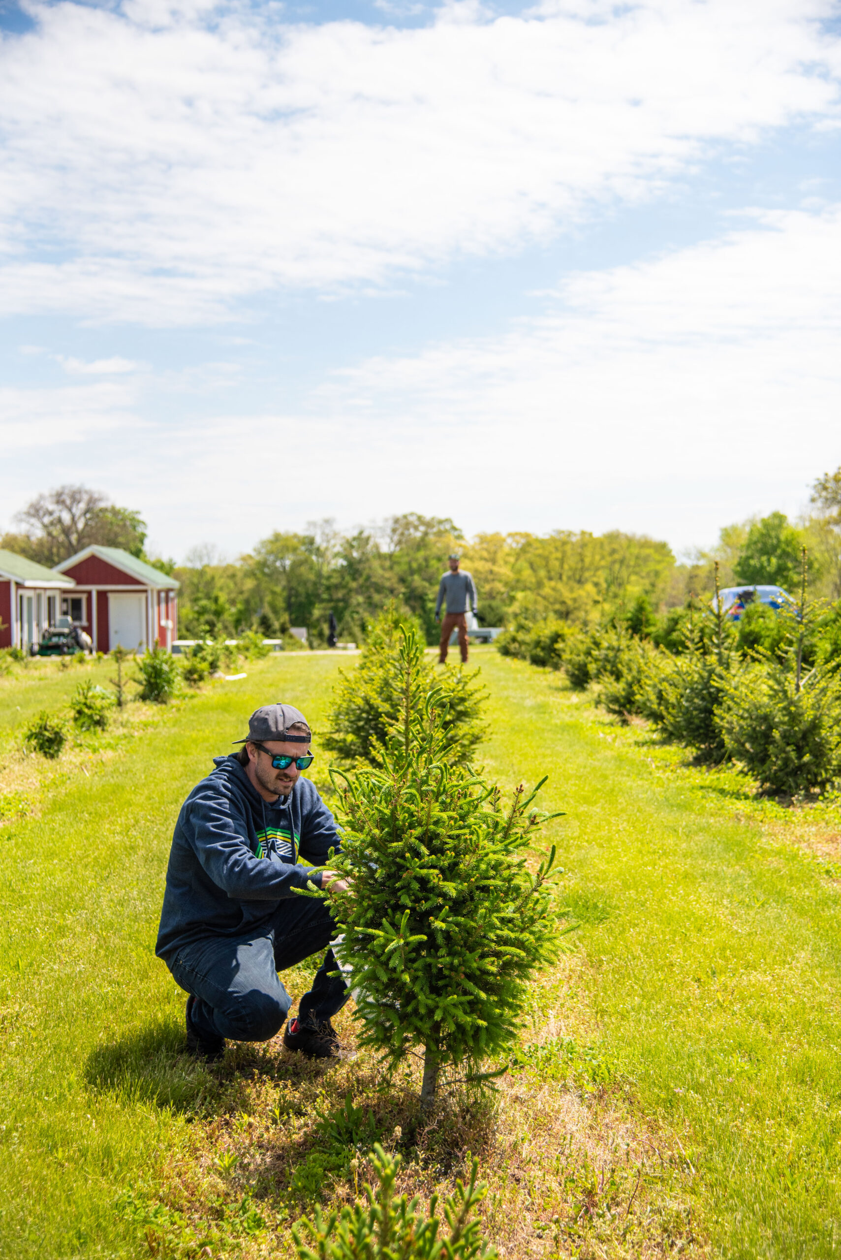 Spruce tip beer 32 of 93 scaled spruce it up! - rhinegeist