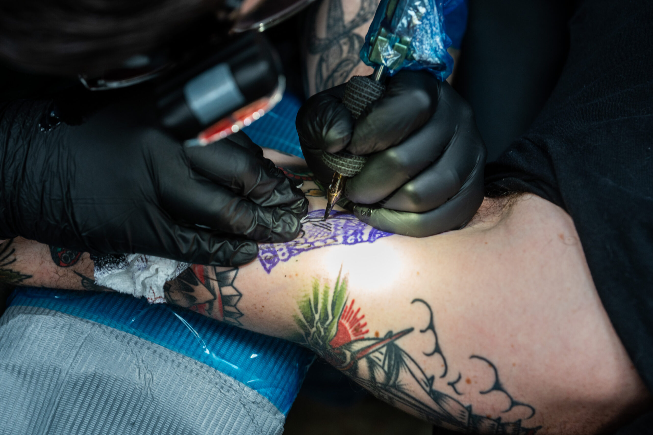 Inked 112319 28 scaled the story of ink - rhinegeist