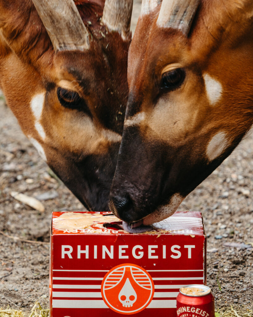 Antelope zoo 2 antelope review - rhinegeist