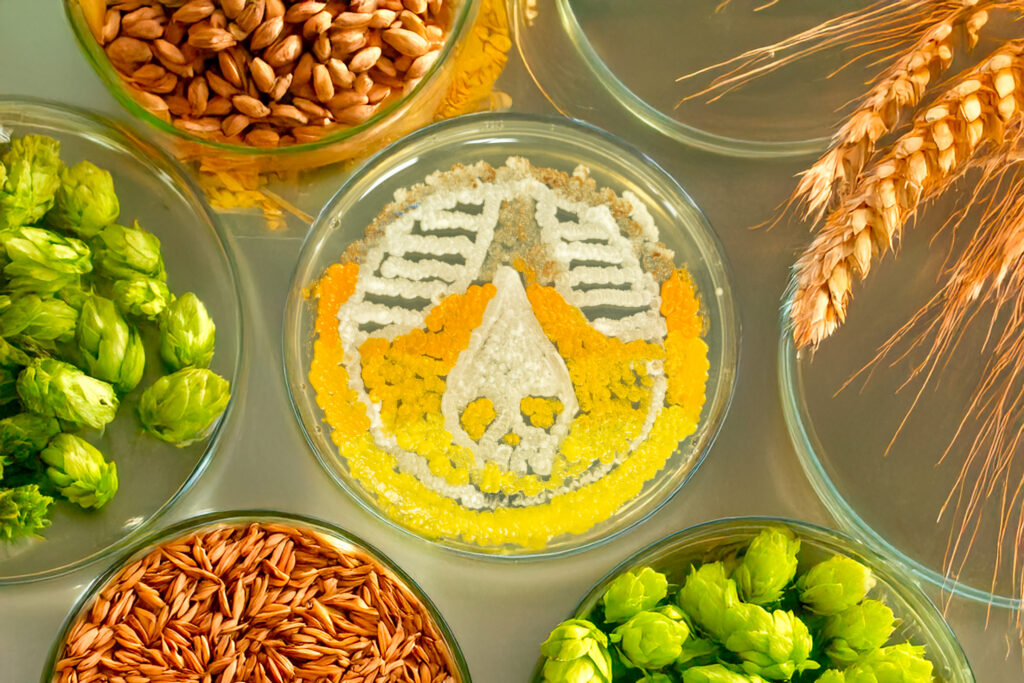 Yeast grown in lab rhinegeist logo