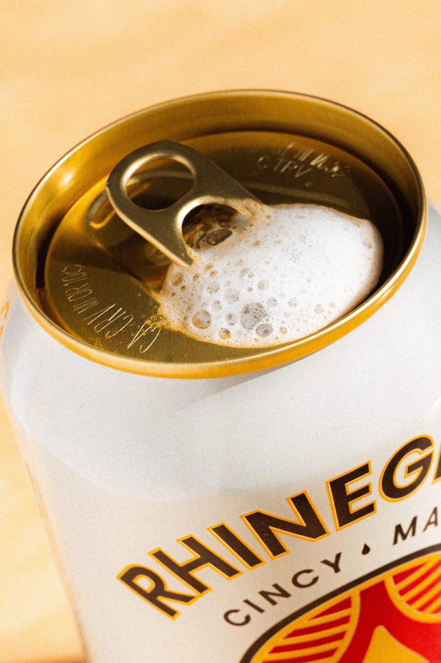 Housecat feb2026 15 scaled house cat (american pils) review - rhinegeist