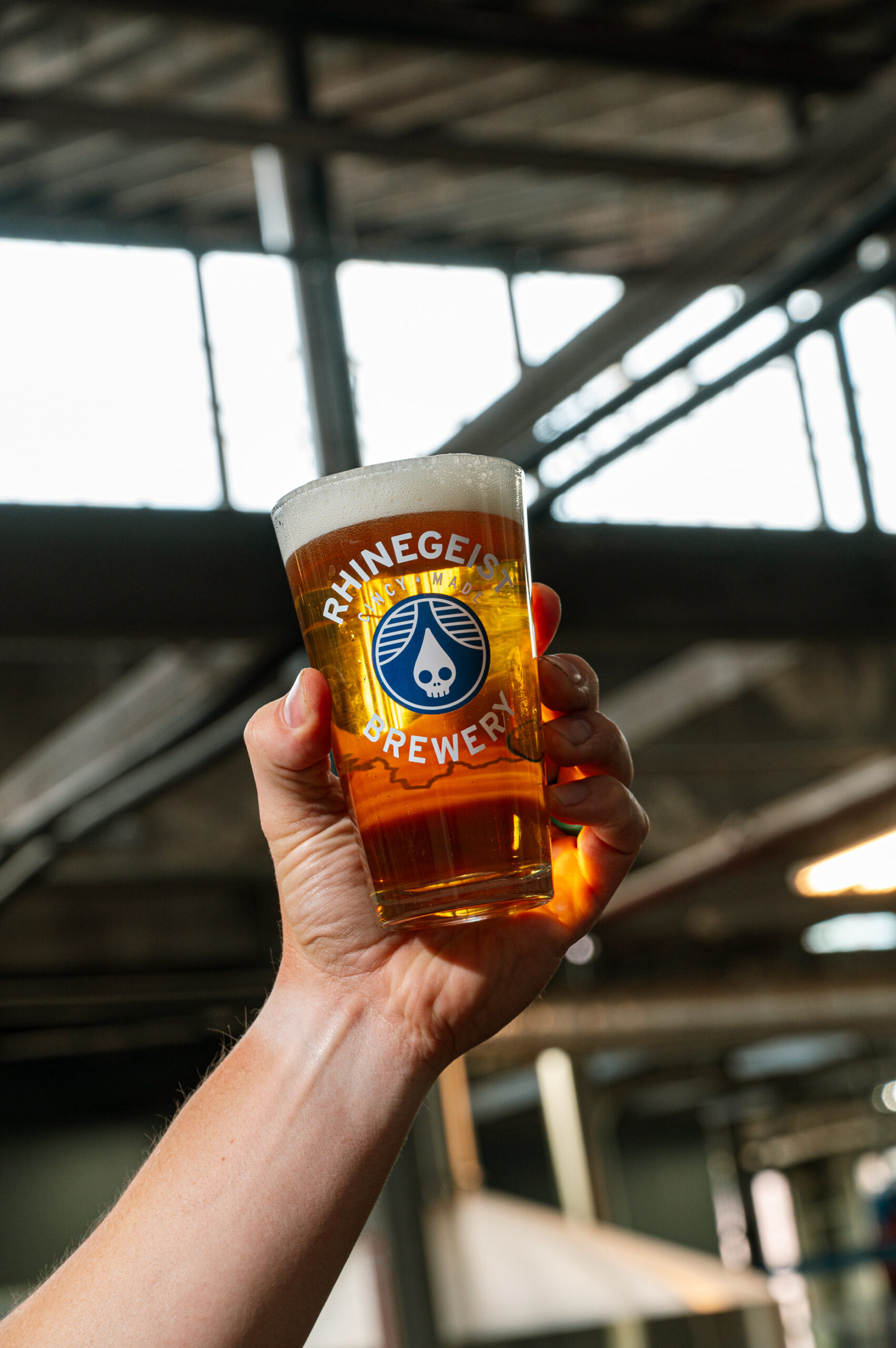 Brewersdozen liquid 8 scaled brewer's dozen (west coast style ipa) review - rhinegeist