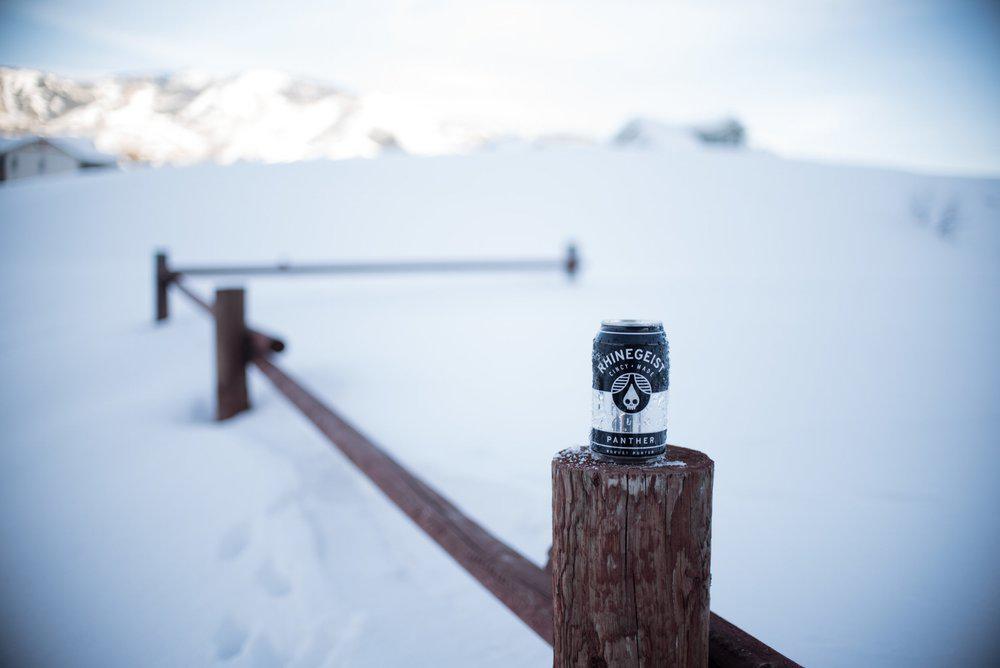 Dsc 4571 panther (robust porter) review - rhinegeist