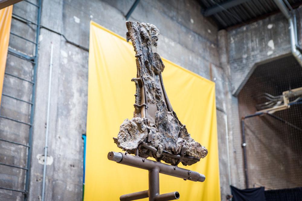 Dinoconstuction 050918 22 jurassic geist, or: “hey, look at that, there’s a 150 million-year-old dinosaur skeleton in the brewery. ” - rhinegeist