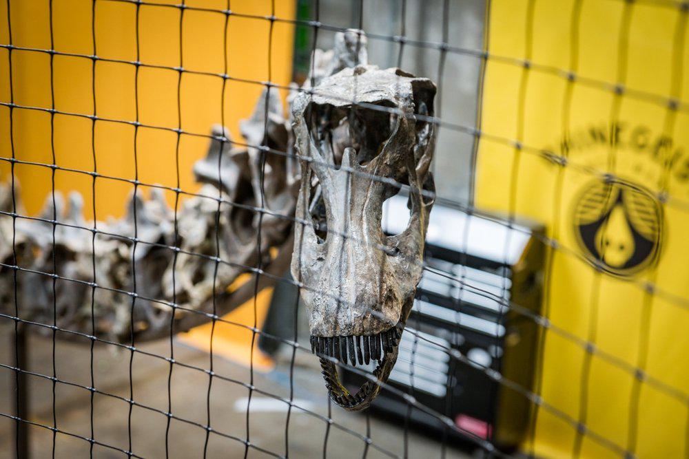 Dinoconstuction 050918 72 jurassic geist, or: “hey, look at that, there’s a 150 million-year-old dinosaur skeleton in the brewery. ” - rhinegeist